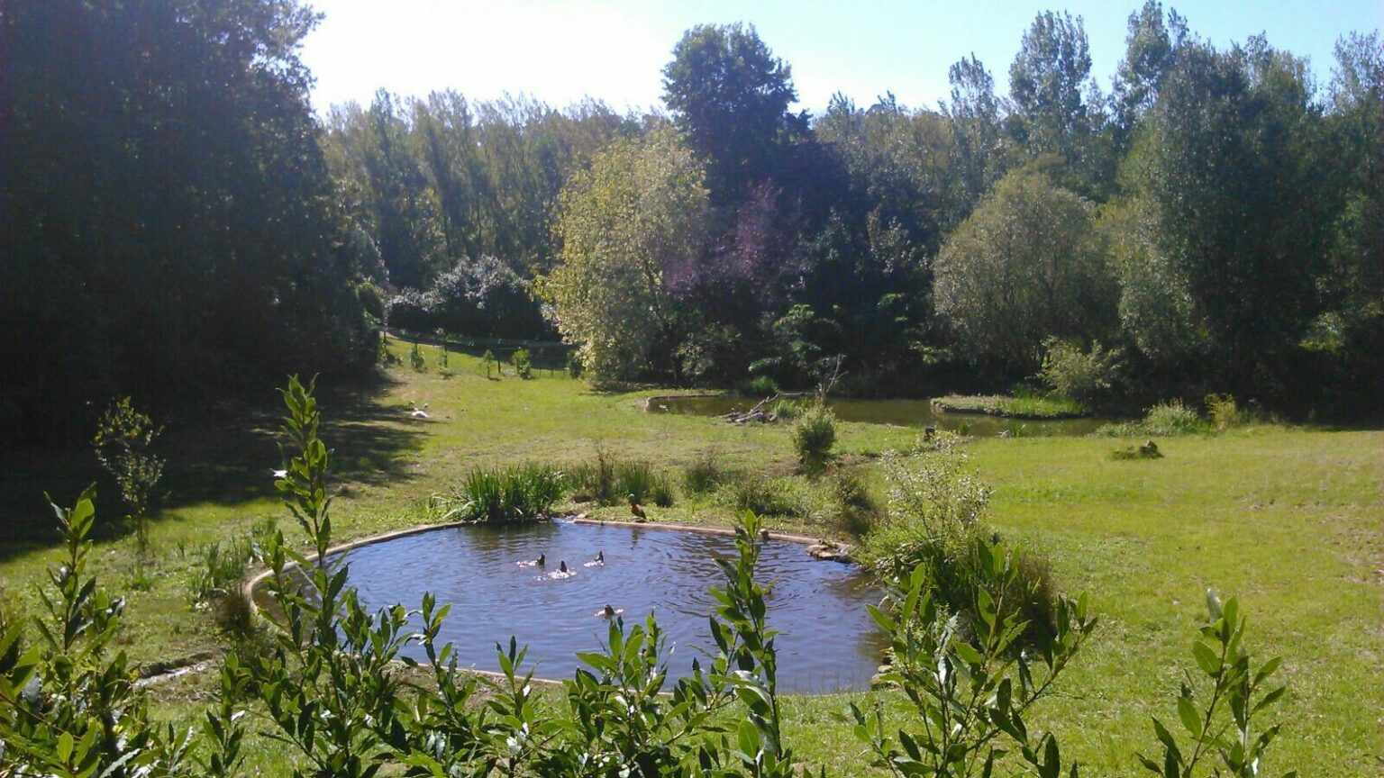 Parque Biol Gico De Gaia Hectares Em Estado Selvagem