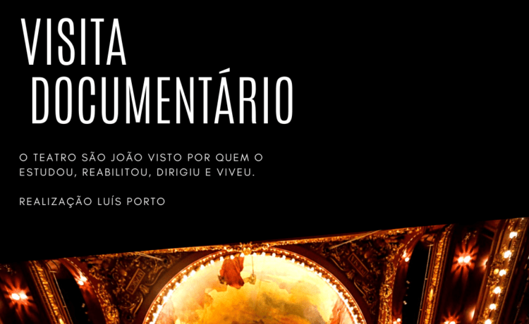 Visita - um documentário de Luís Porto