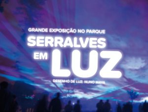 Serralves em Luz entre as dez melhores exposições na Europa