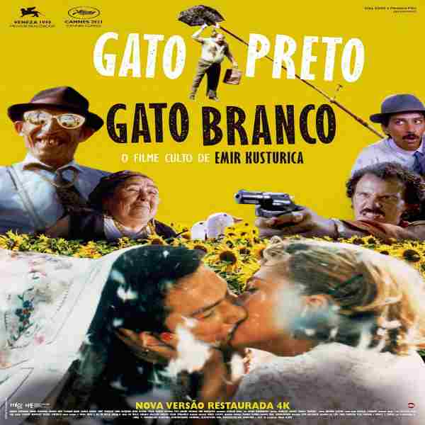 Gato Preto Gato Branco - Versão 4K Cine Teatro Eduardo Brazão