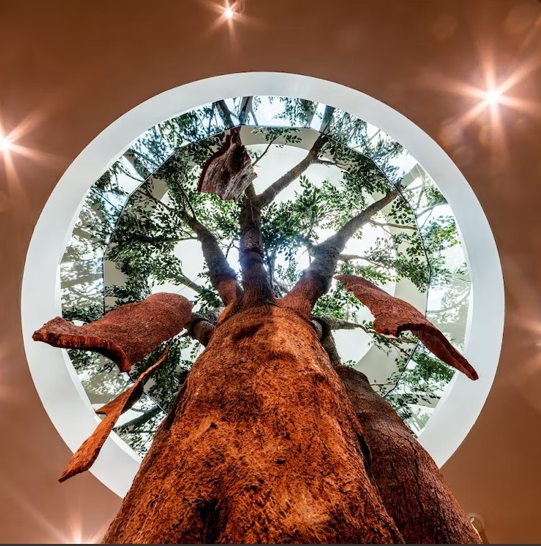 WOW World of Wine Porto Exposições Bilhetes Horários