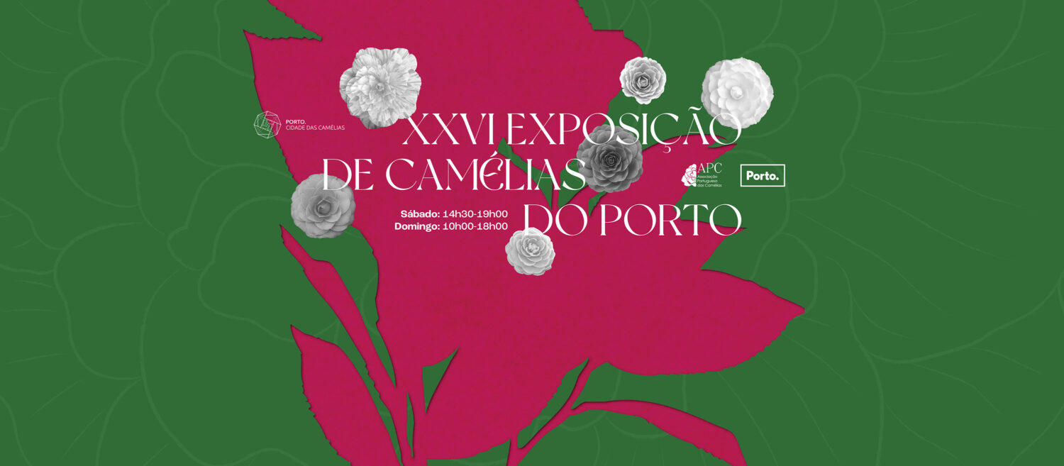 Exposição de Camélias do Porto - Alfandega do Porto