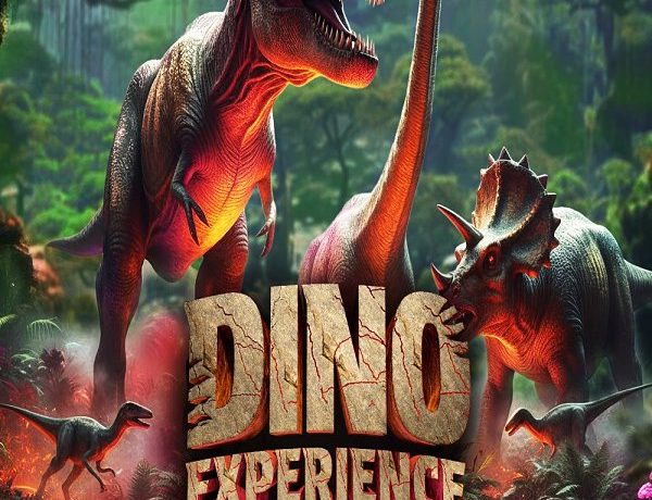 Dino Experience - Alfândega do Porto