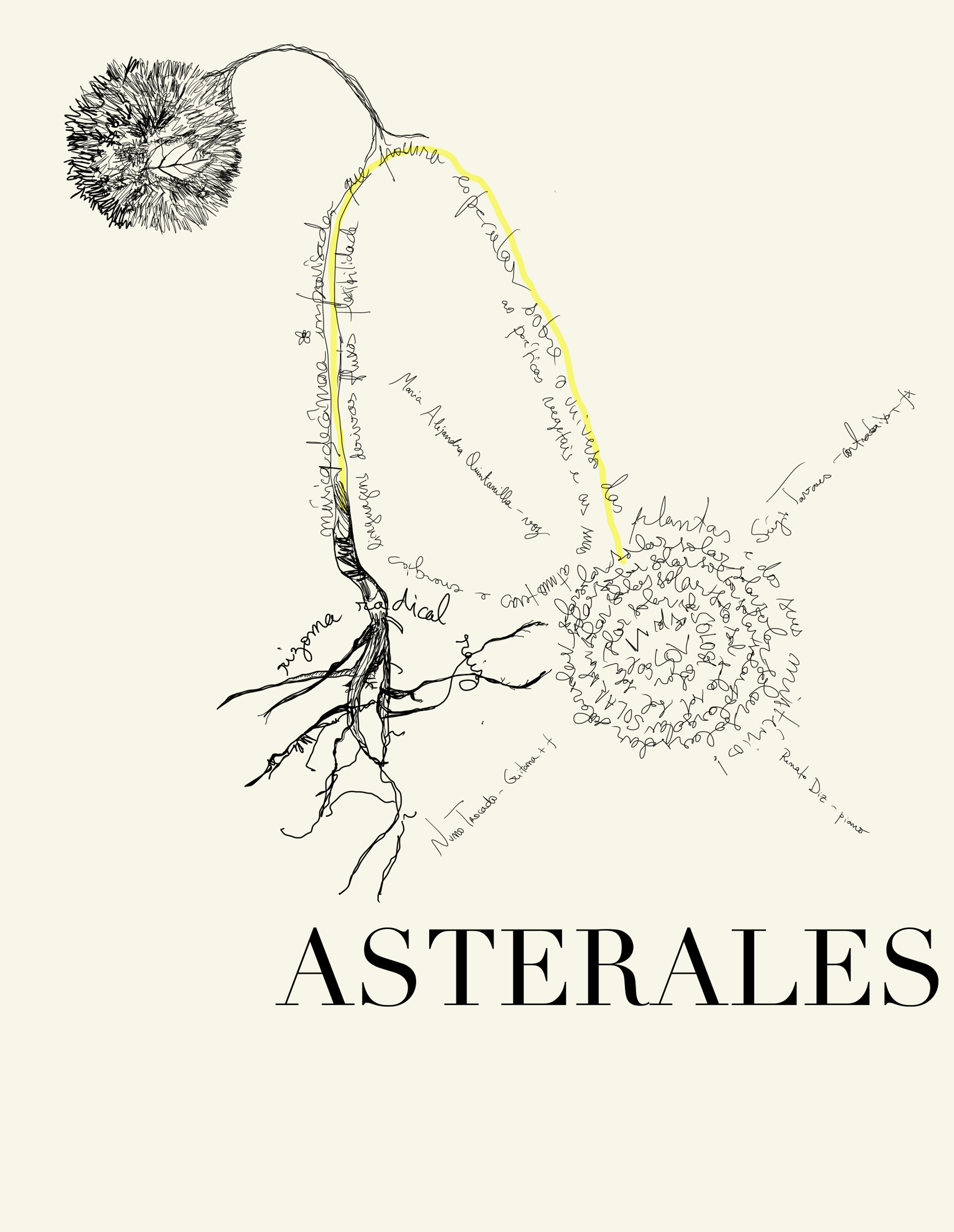 Asterales - Espaço Porta-Jazz