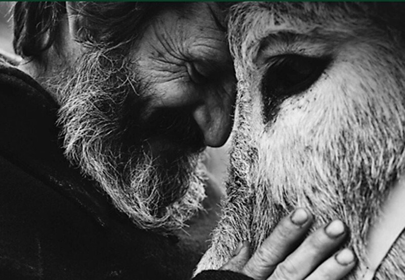 'Memorial de Poemas e outras Primaveras' de Valdemar Santos