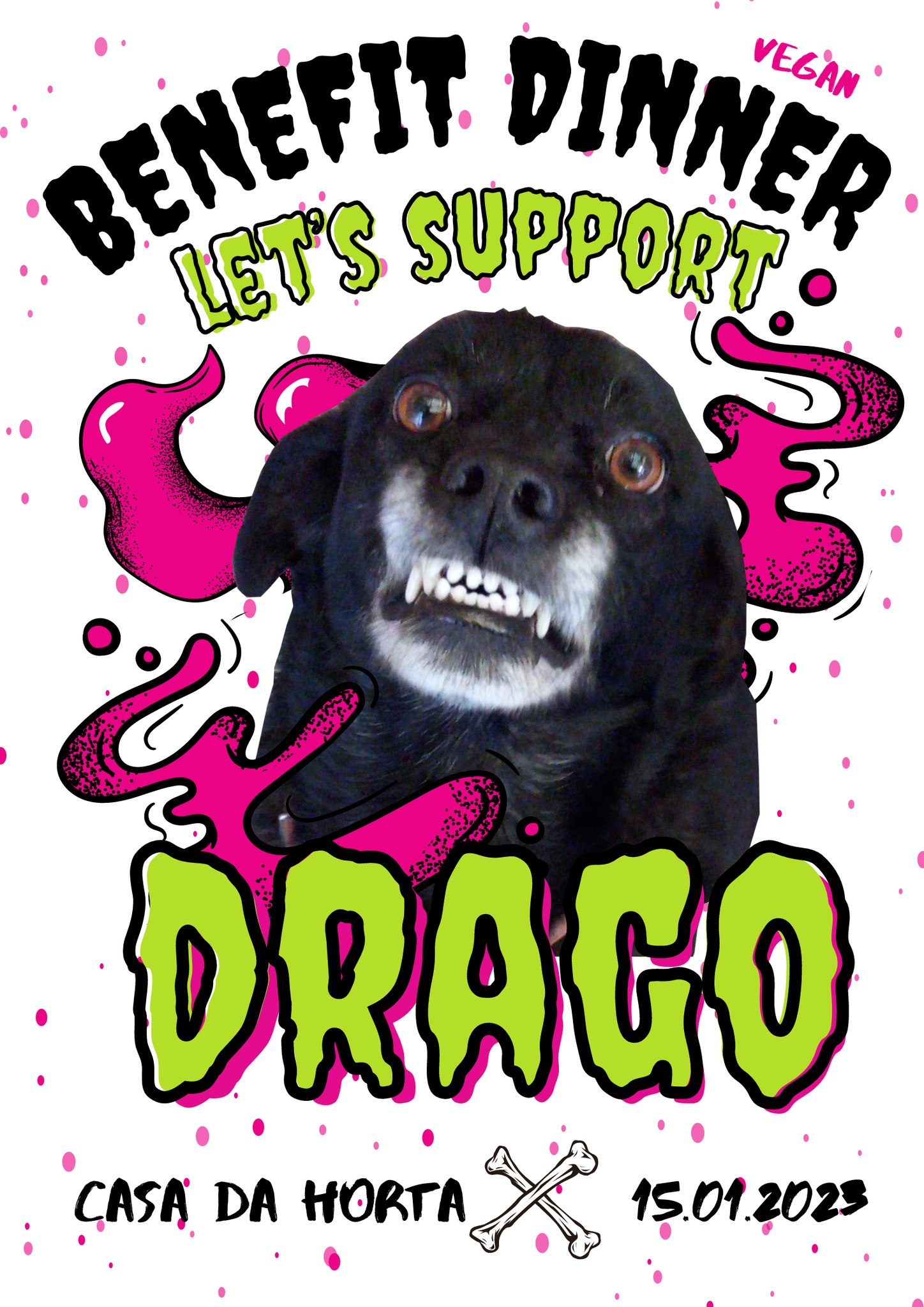 Benefit Dinner - Let's support Drago