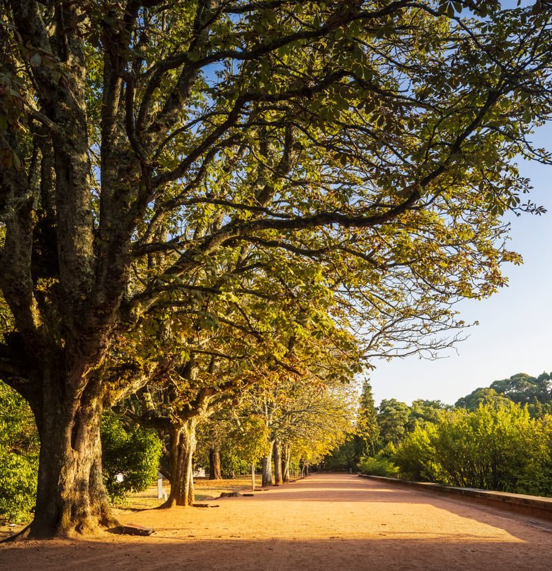 PELOS CAMINHOS DO PARQUE