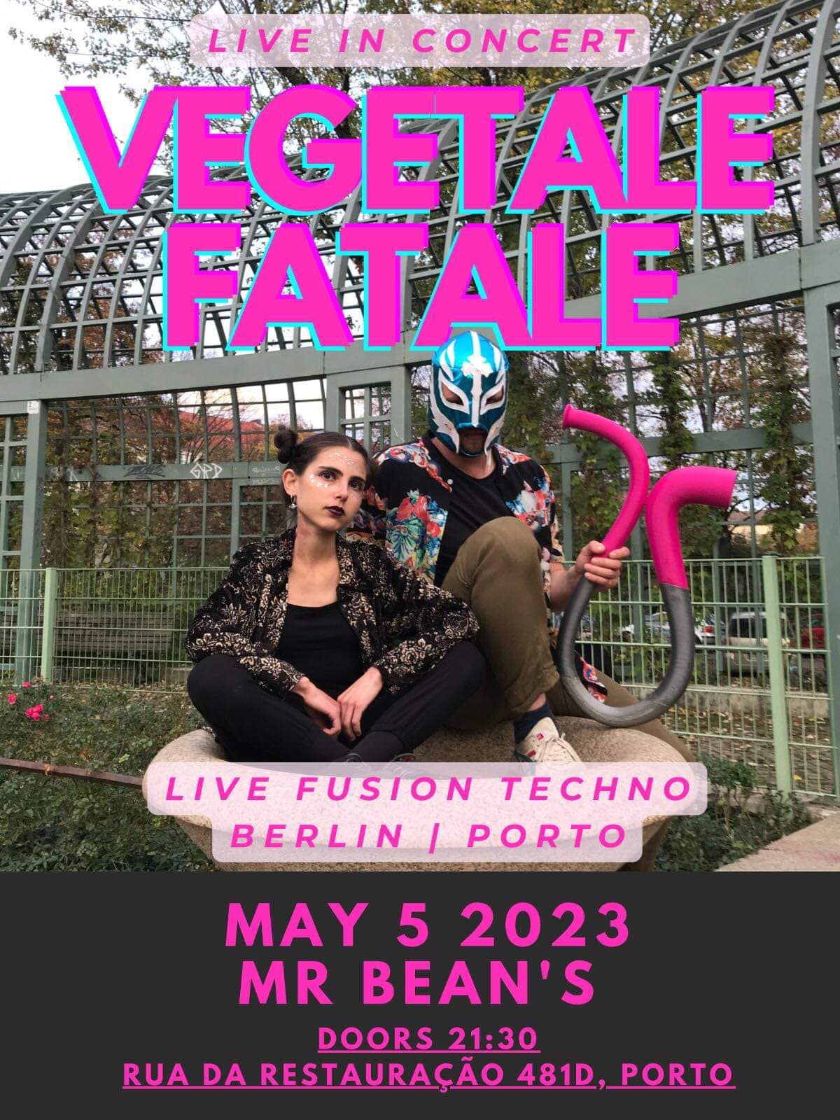 Vegetale Fatale - Techno concert with Violin & Didgeridoo