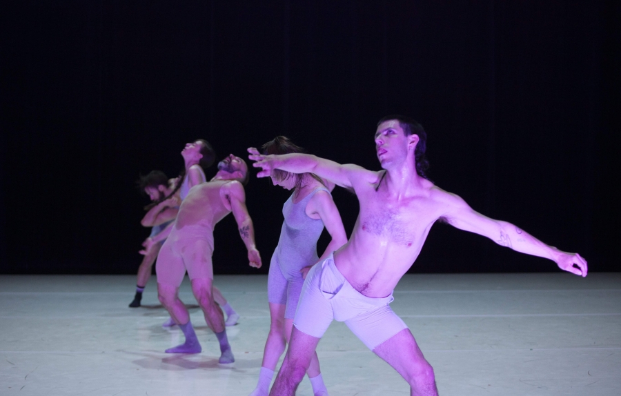 Compagnie Catherine Gaudet - The Pretty Things