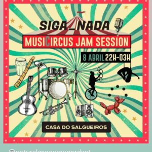 SIGA_NADA - Casa do Salgueiros