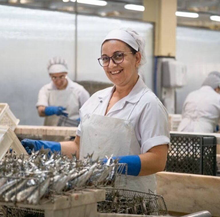 Da Linha de Produção à Mesa Conheça a Fábrica das Conservas Pinhais
