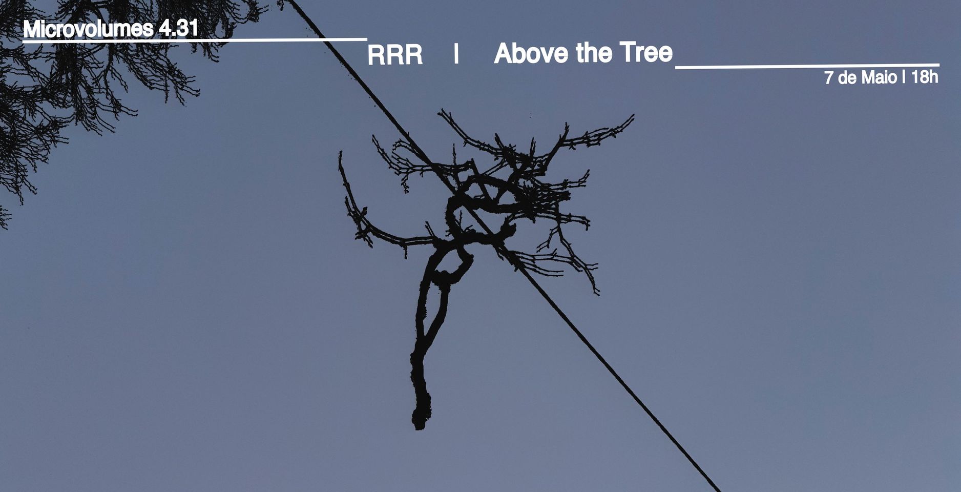 Microvolumes 4.31 RRR Above the Tree