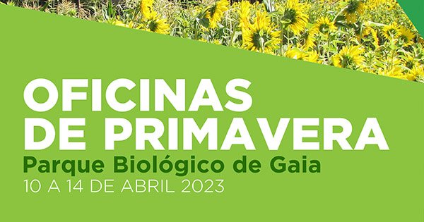 Oficinas de Primavera - Parque Biológico de Gaia