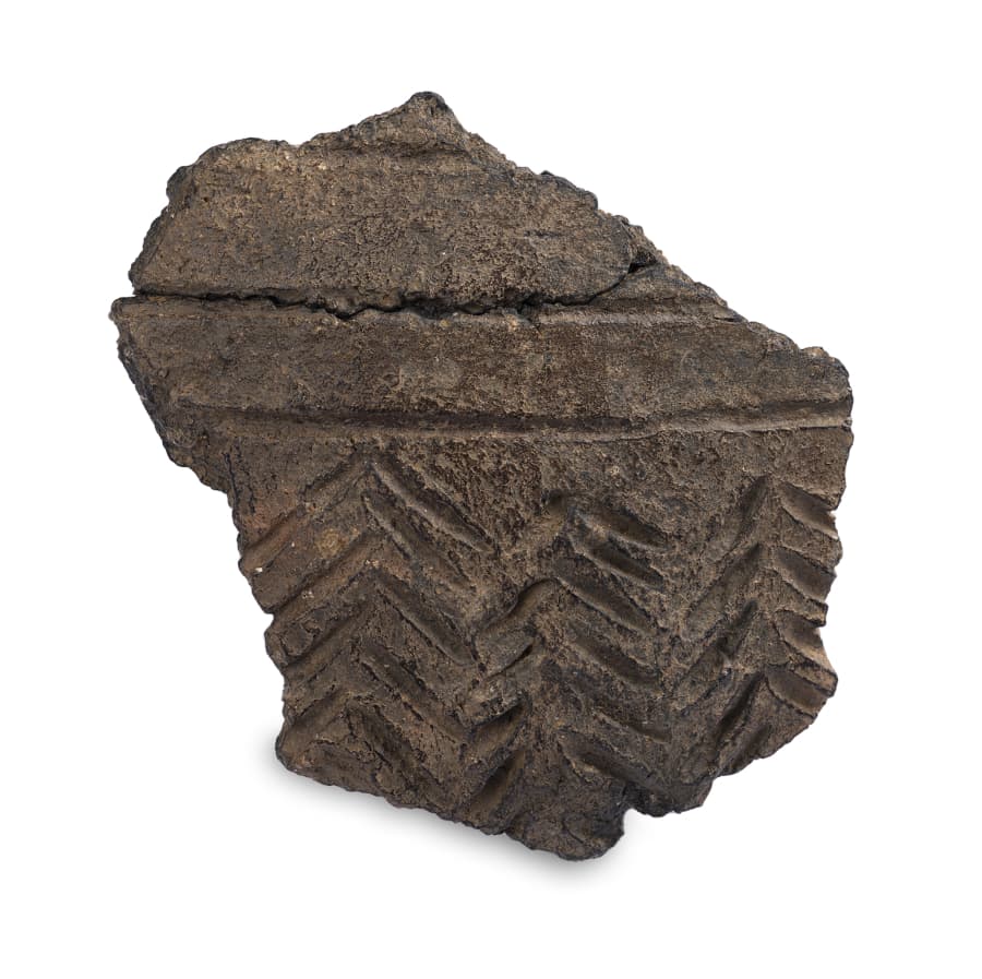 Um Objeto e seus Discursos - Fragmento de cerâmica tipo Penha (1)