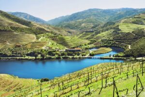 Conheça as tradições vinícolas do Douro em uma excursão única com almoço e passeio de barco!