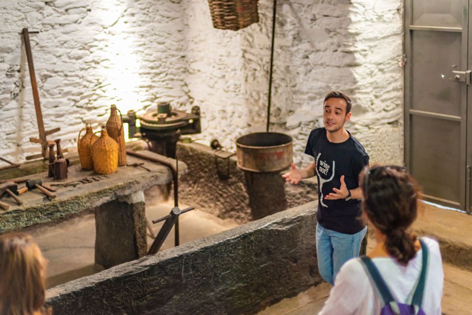 Desvende os mistérios do processo de produção de vinhos do Douro em uma visita guiada por quintas e vinícolas!