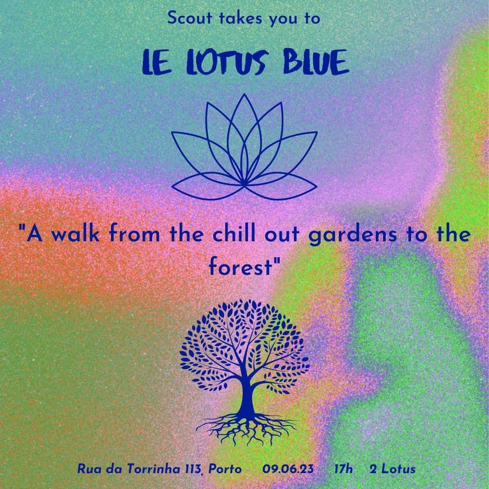 Le Lotus Blue - Espaço Compasso