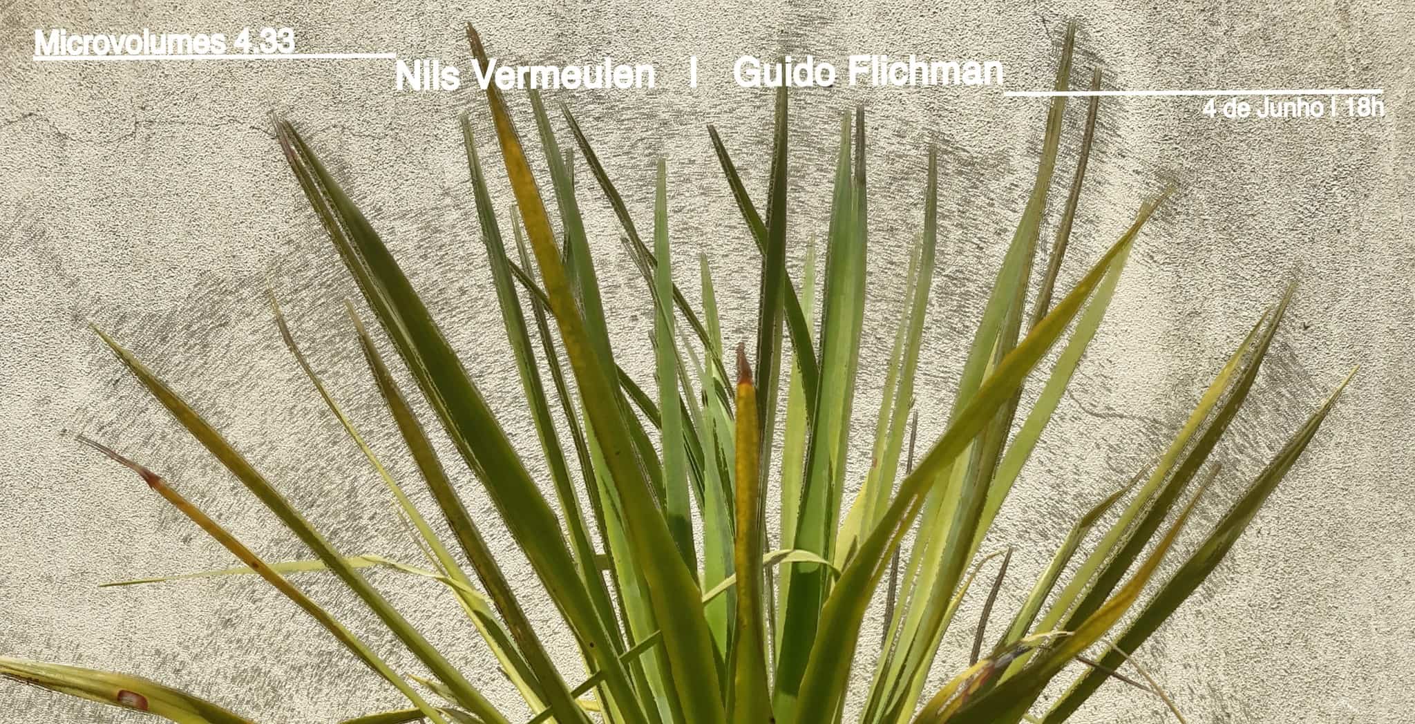Microvolumes 4.33 | Nils Vermeulen | Guido Flichman
