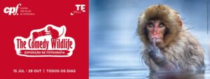 The Comedy Wildlife - Centro Português de Fotografia