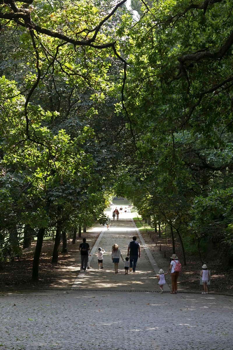 VISITA SAZONAL DE VERÃO - Serralves