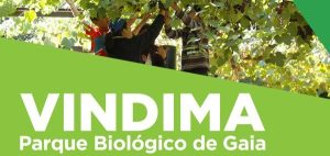 Vindima no Parque Biológico