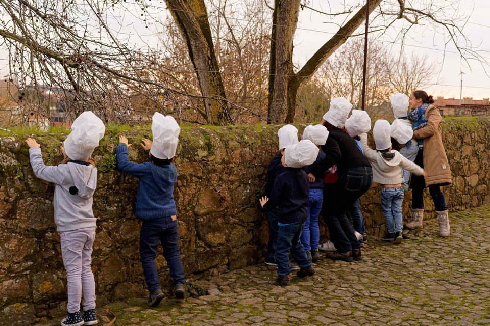 COMEMORAÇÃO DO DIA MUNDIAL DA ALIMENTAÇÃO