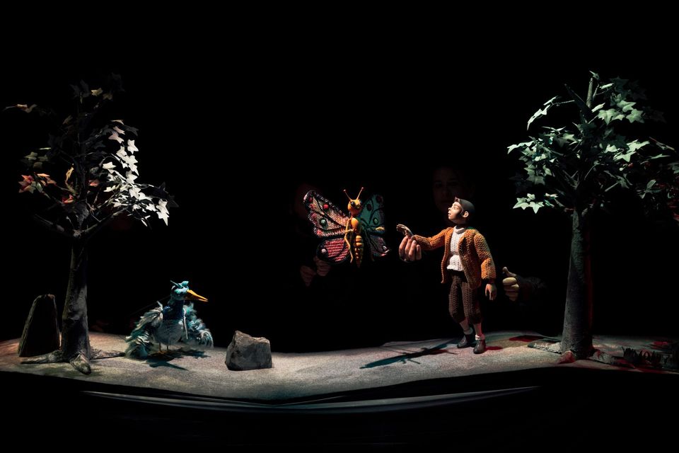 Horizonte - Teatro Carlos Alberto