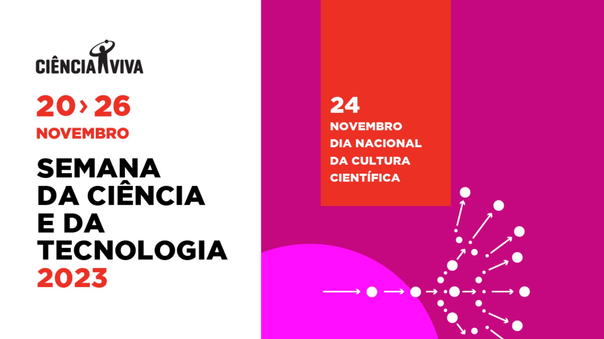 Oficina «Como construir uma câmara clara com materiais do dia-a-dia»
