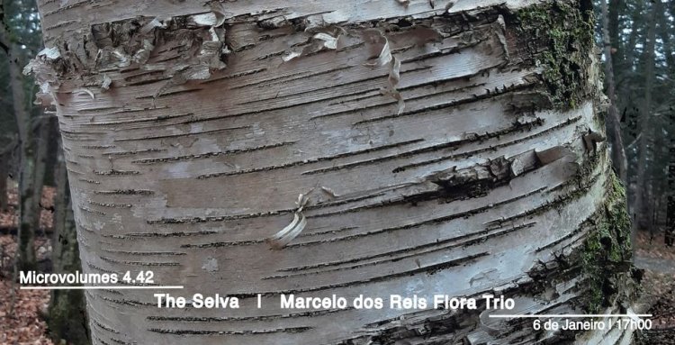 Microvolumes 4.42 The Selva Marcelo dos Reis Flora Trio
