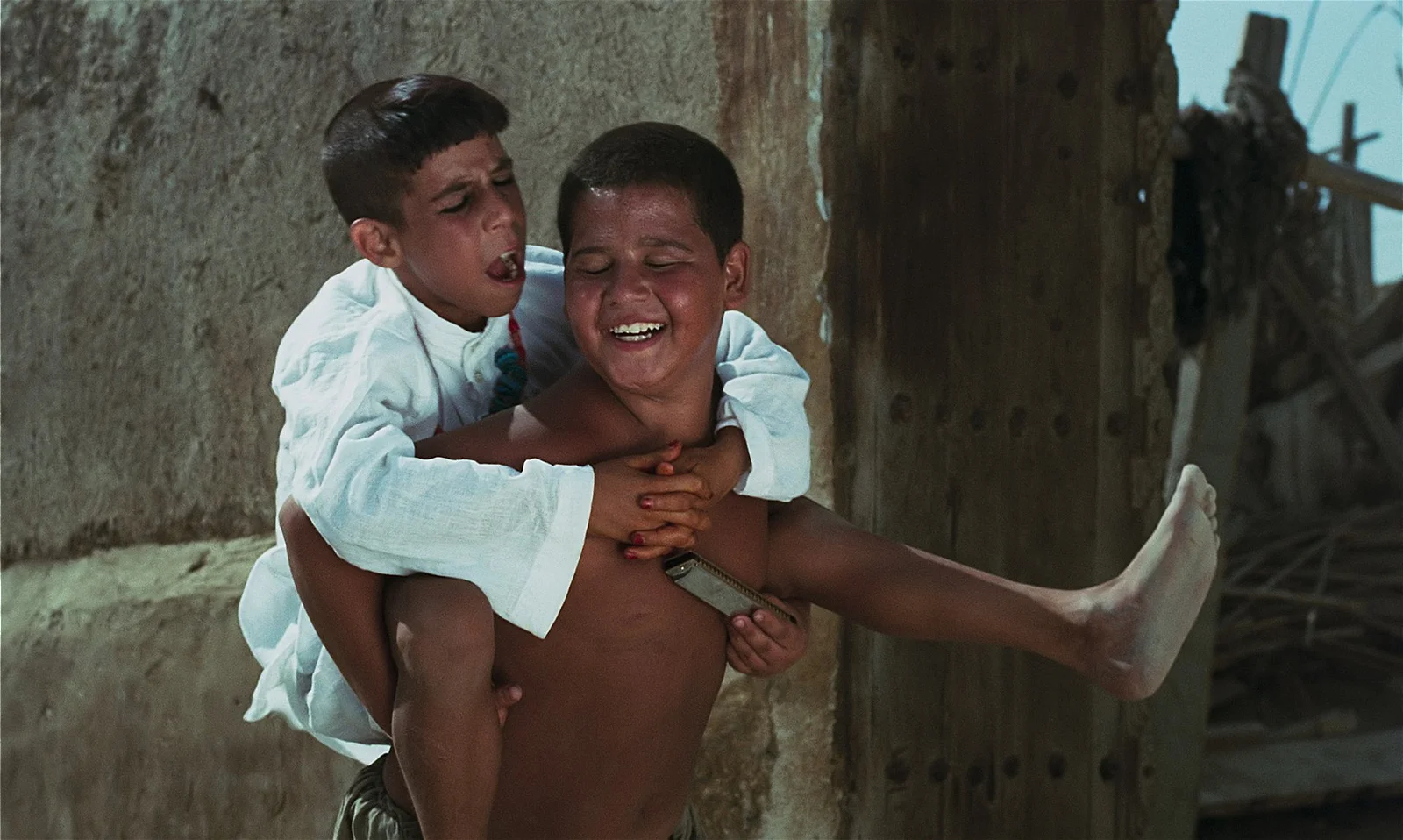 HARMÓNICA (SAAZ DAHANI) - BATALHA CENTRO DE CINEMA