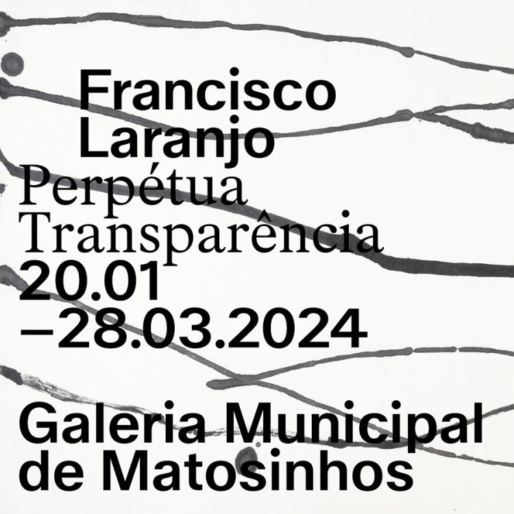 Perpétua Transparência - Galeria Municipal de Matosinhos