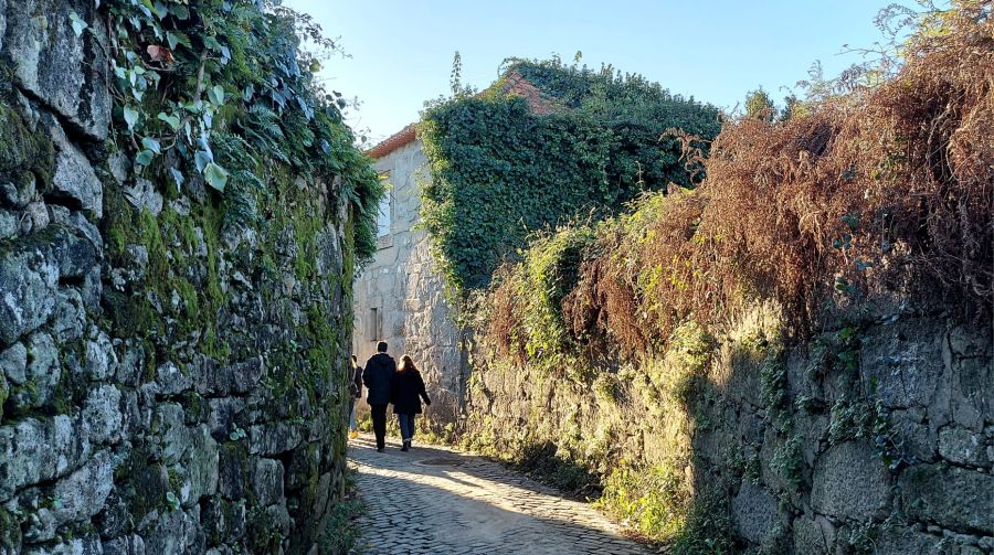 Porto Sentido de Lugar - Do Dragão à Baixa