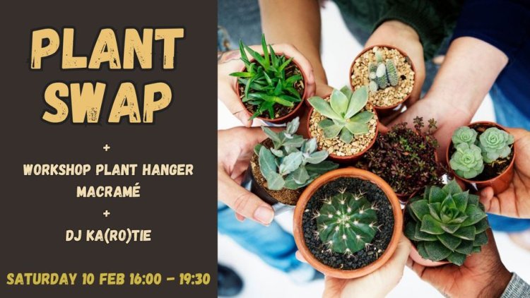 Plant Swap (troca de plantas)