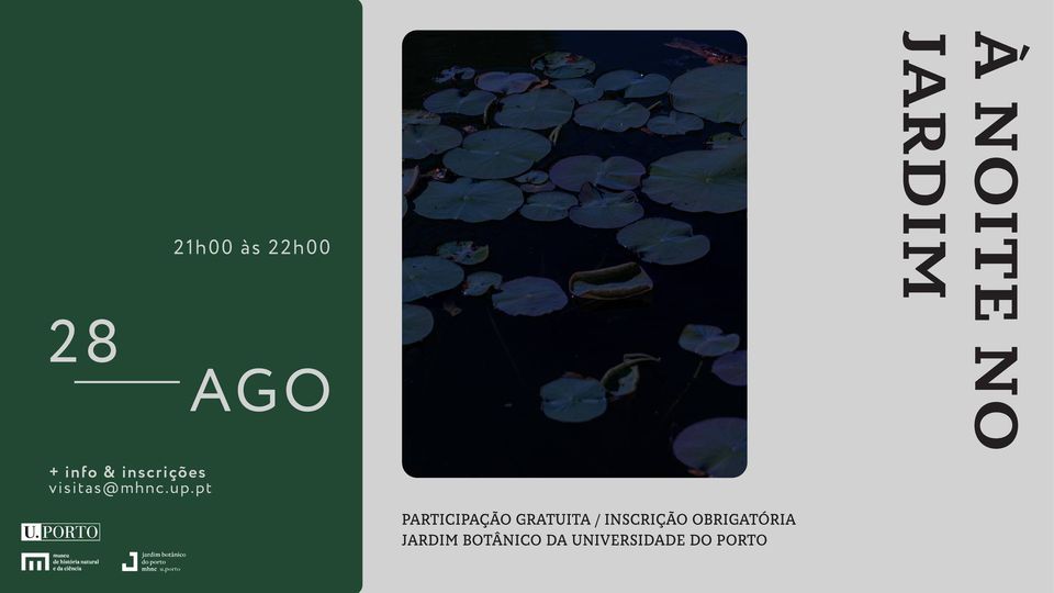 À NOITE NO JARDIM