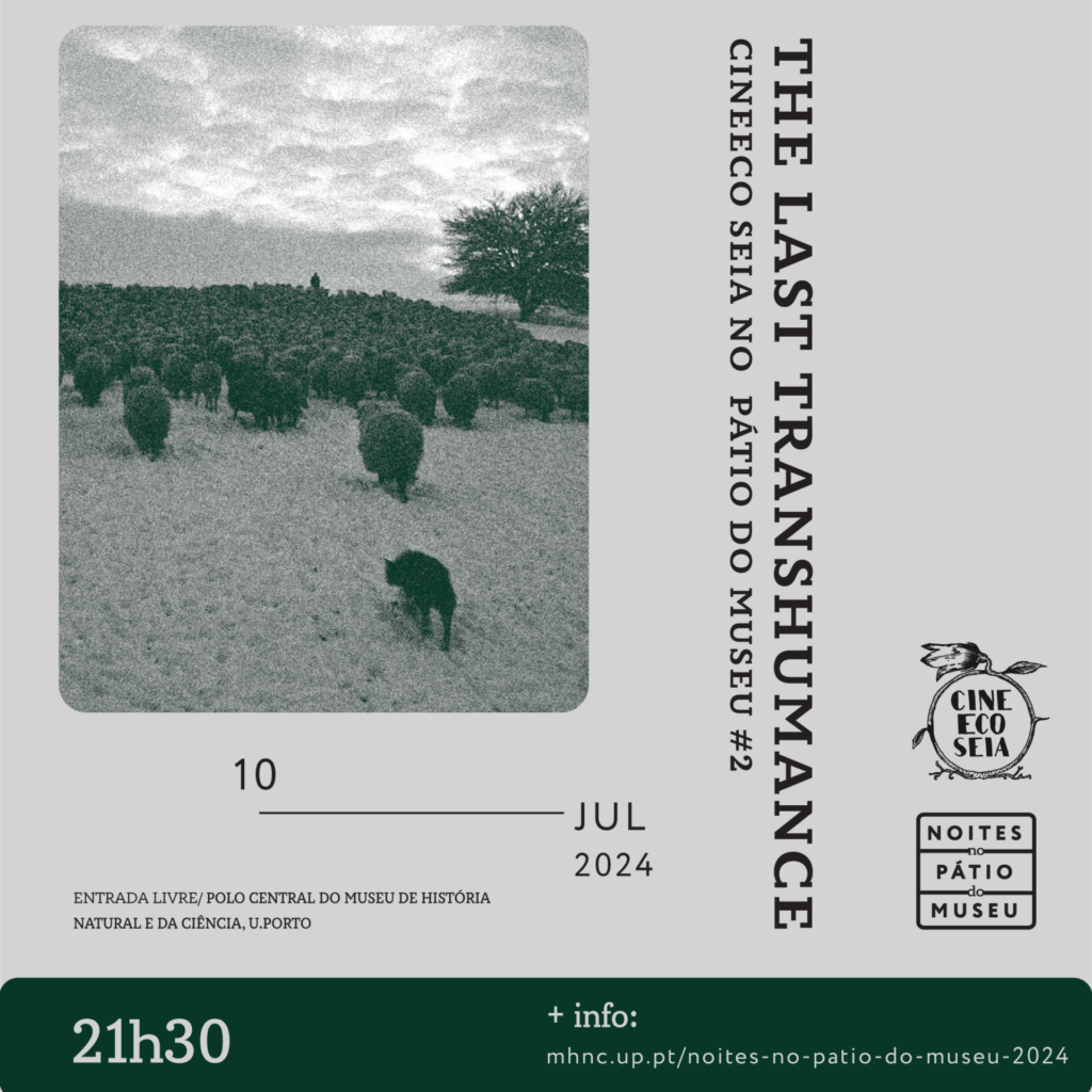 CINEECO SEIA NO PÁTIO DO MUSEU #2 | "THE LAST TRANSHUMANCE"