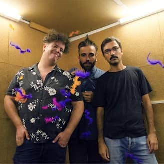 Jibóia- Lovers & Lollypops