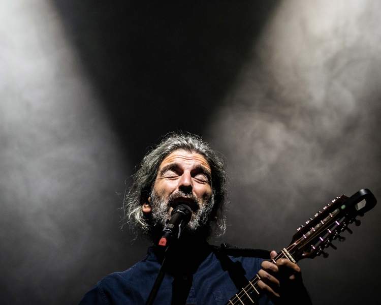 Malva Globo - Casa da Música