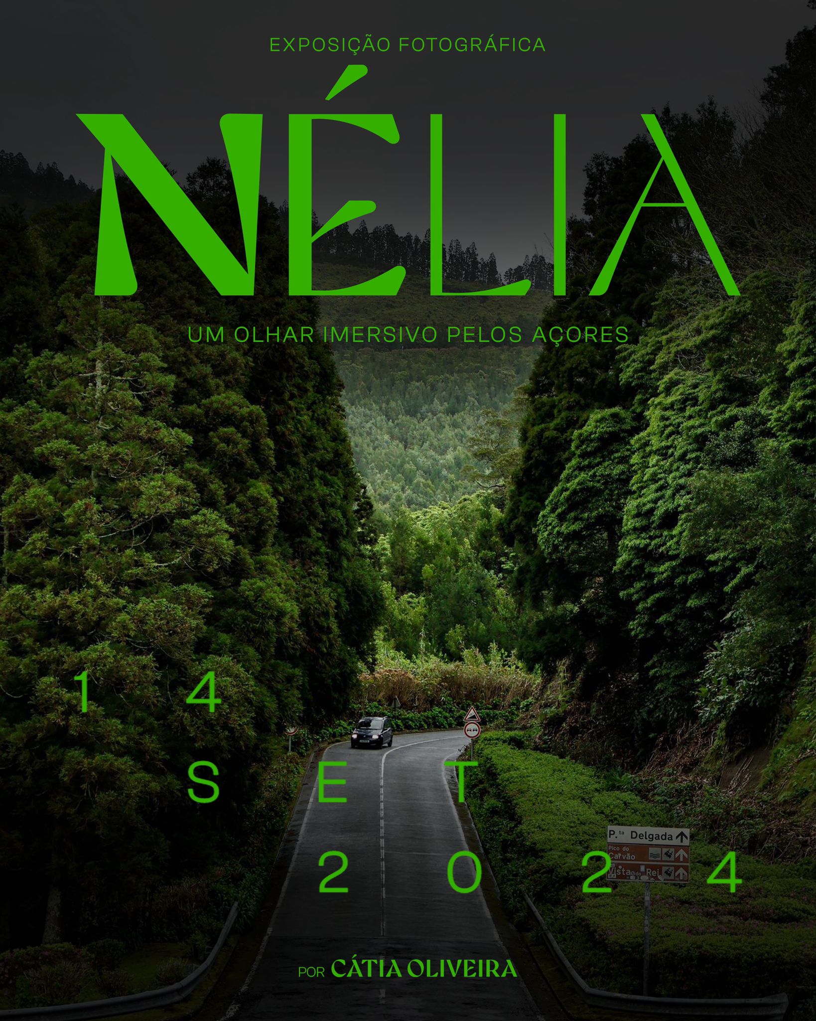 Exposição Nélia