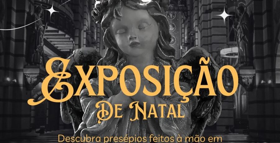 EXPOSIÇÃO DE NATAL GOLPE DE ASA