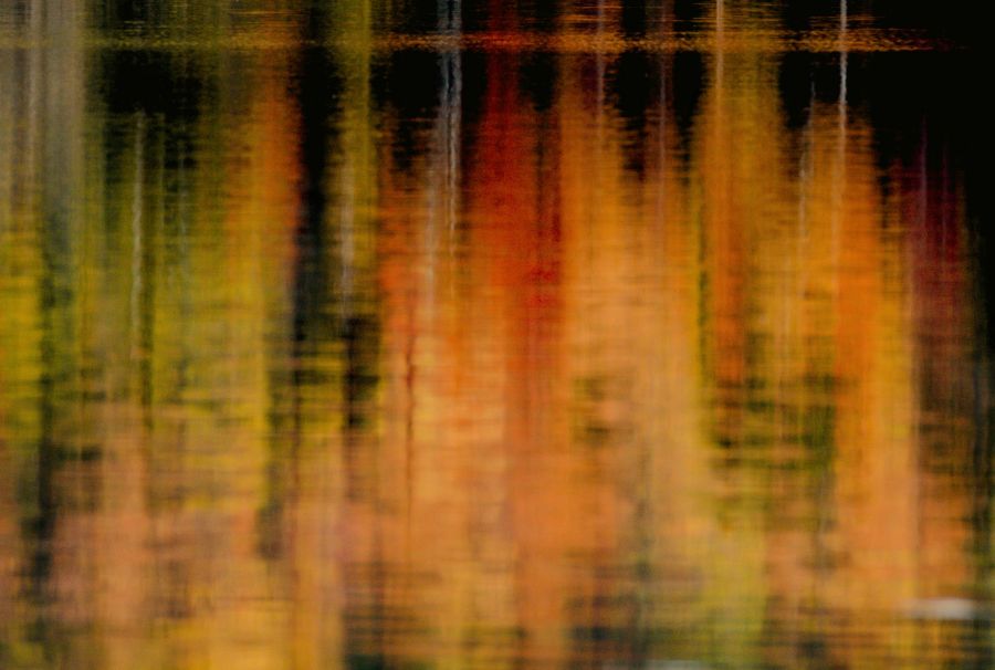 Tons de Outono - Pintura em Acrílico