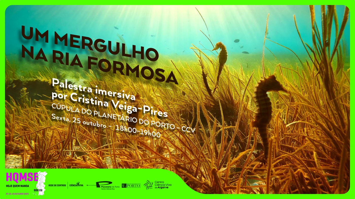 Um Mergulho na Ria Formosa