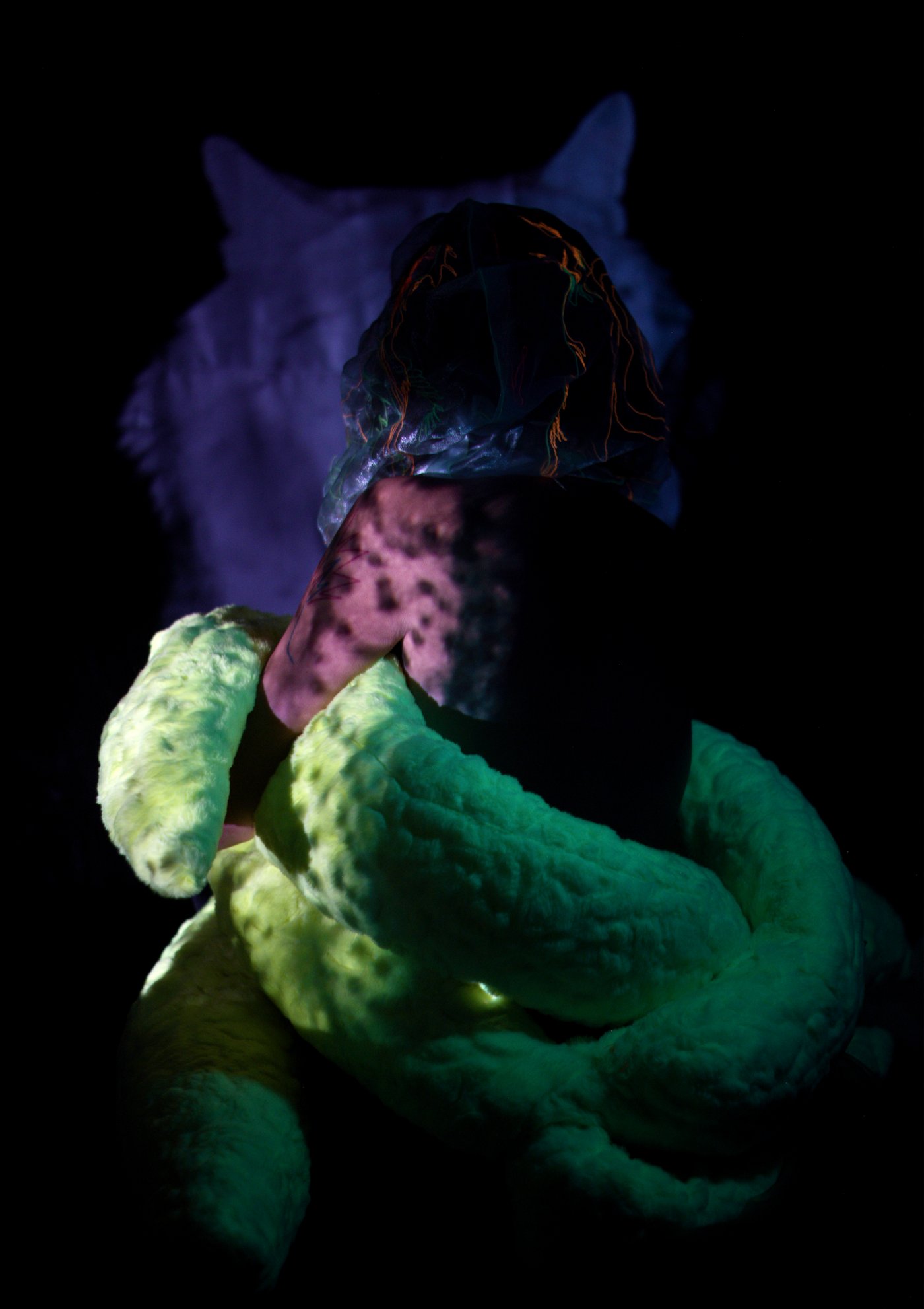 Lucid Dreams of a Static Beast de Svenja Tiger