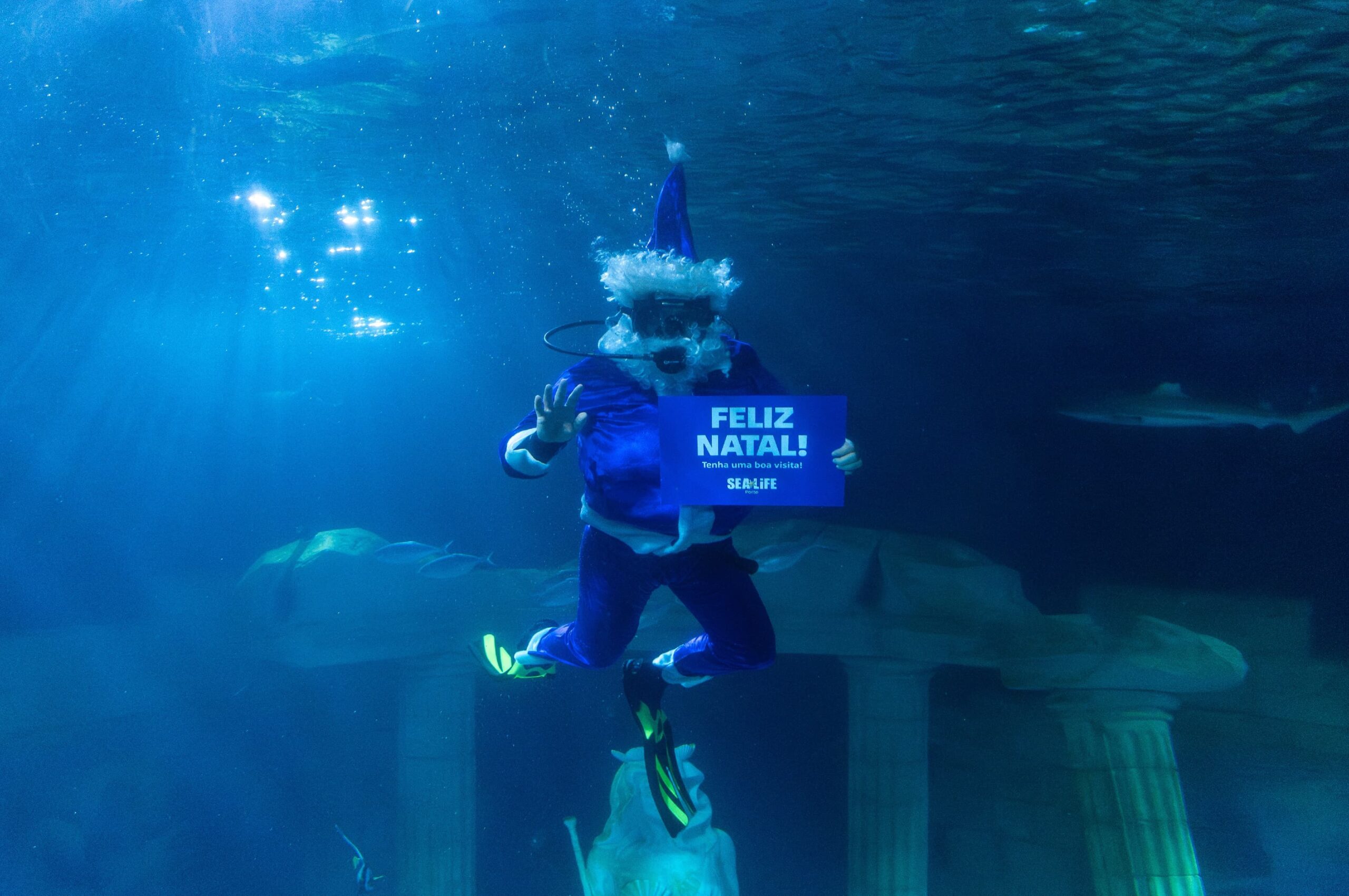 Pai Natal dos Oceanos está de volta ao SEA LIFE Porto com Concurso de Desenhos para um Natal Sustentável