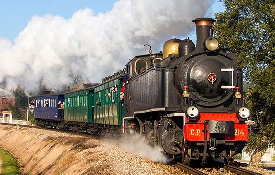 Comboio Histórico do Vouga - Especial Natal (c/ visita ao Águeda Natal e Museu Ferroviário)