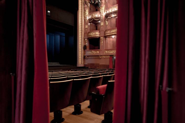 MUSICAL-MENTE - Teatro Nacional São João