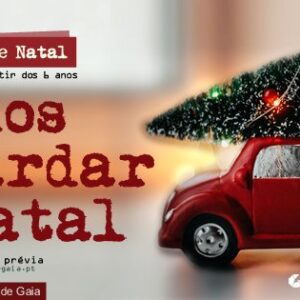 Vamos guardar o Natal!