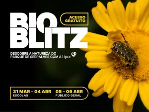 Bioblitz 2025