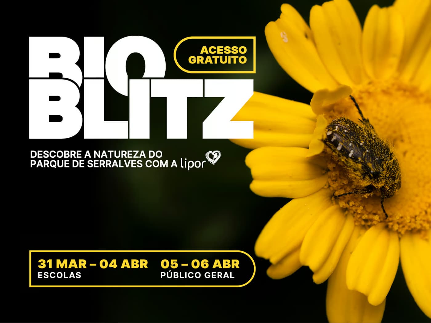 Bioblitz 2025