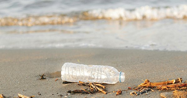 Limpeza de Praia Capela Senhor da Pedra