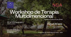 Workshop de Terapia Multidimensional